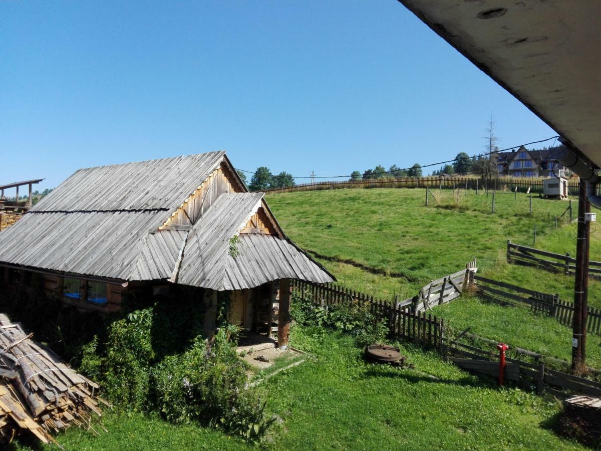 Pokoje Goscinne U Elzbiety Ciche Małe Buitenkant foto